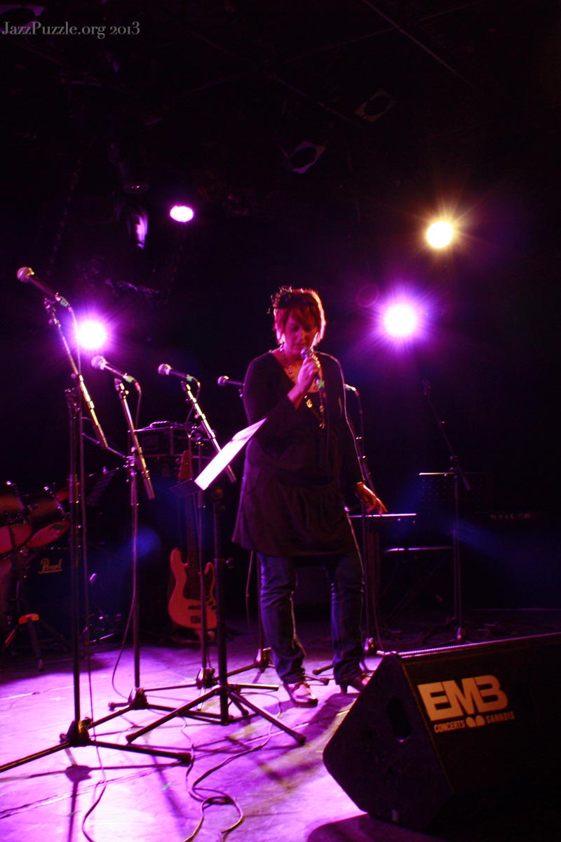 Concert Puzzle 2013