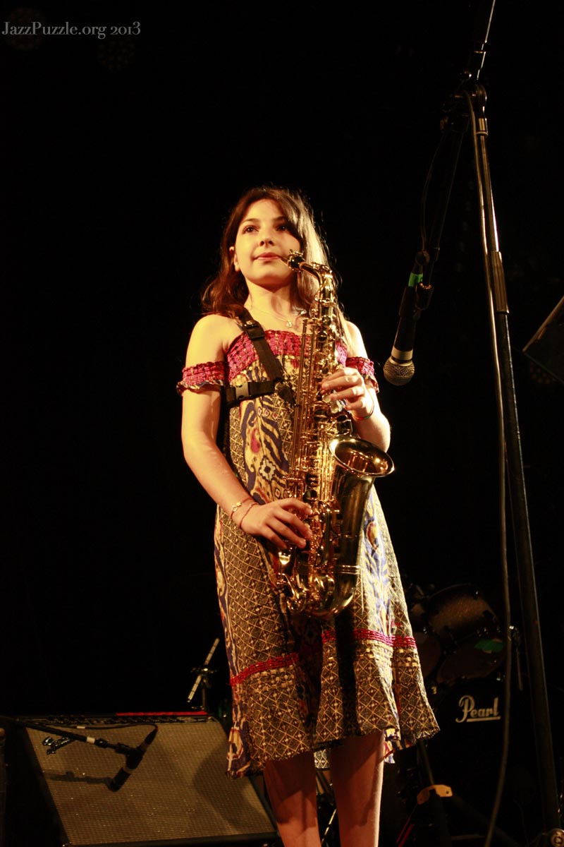 Concert Puzzle 2013