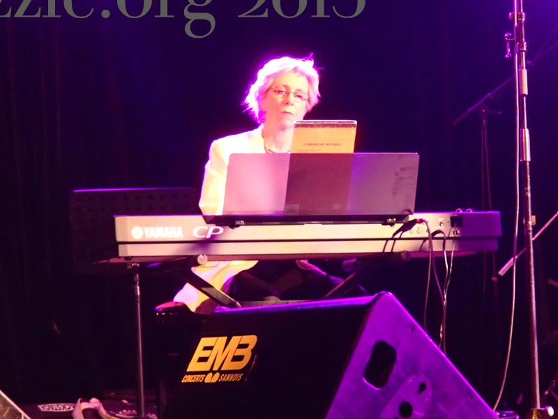 Concert Puzzle 2013