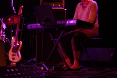 Concert Puzzle 2013